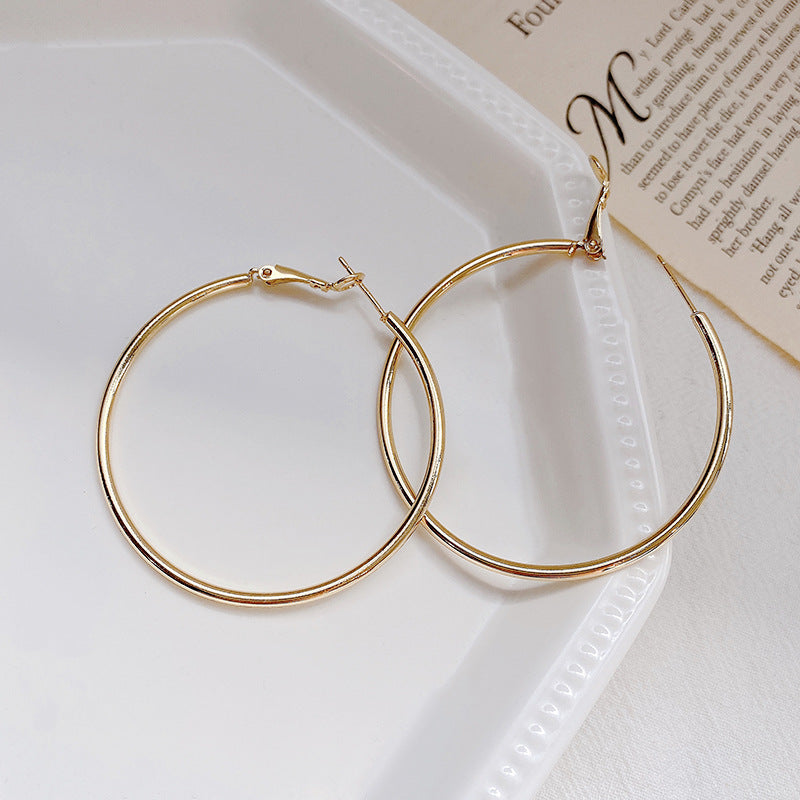 Hoop Earrings with 925 Silver Needle
