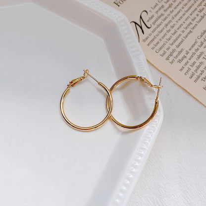 Hoop Earrings with 925 Silver Needle