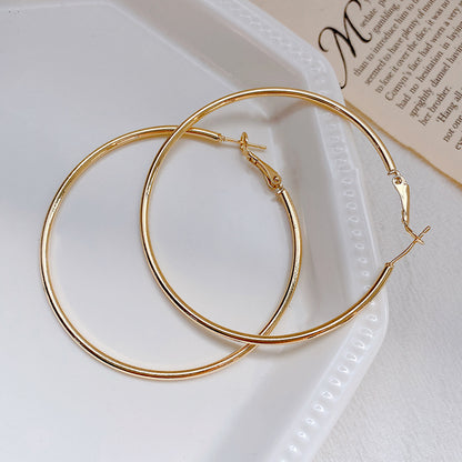 Hoop Earrings with 925 Silver Needle
